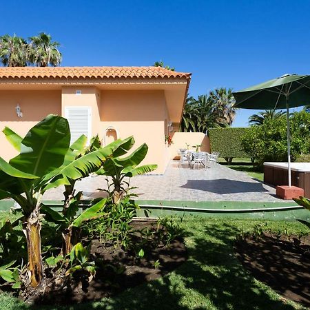 Finca La Gaviota - Los Limoneros Icod De Los Vinos Eksteriør billede
