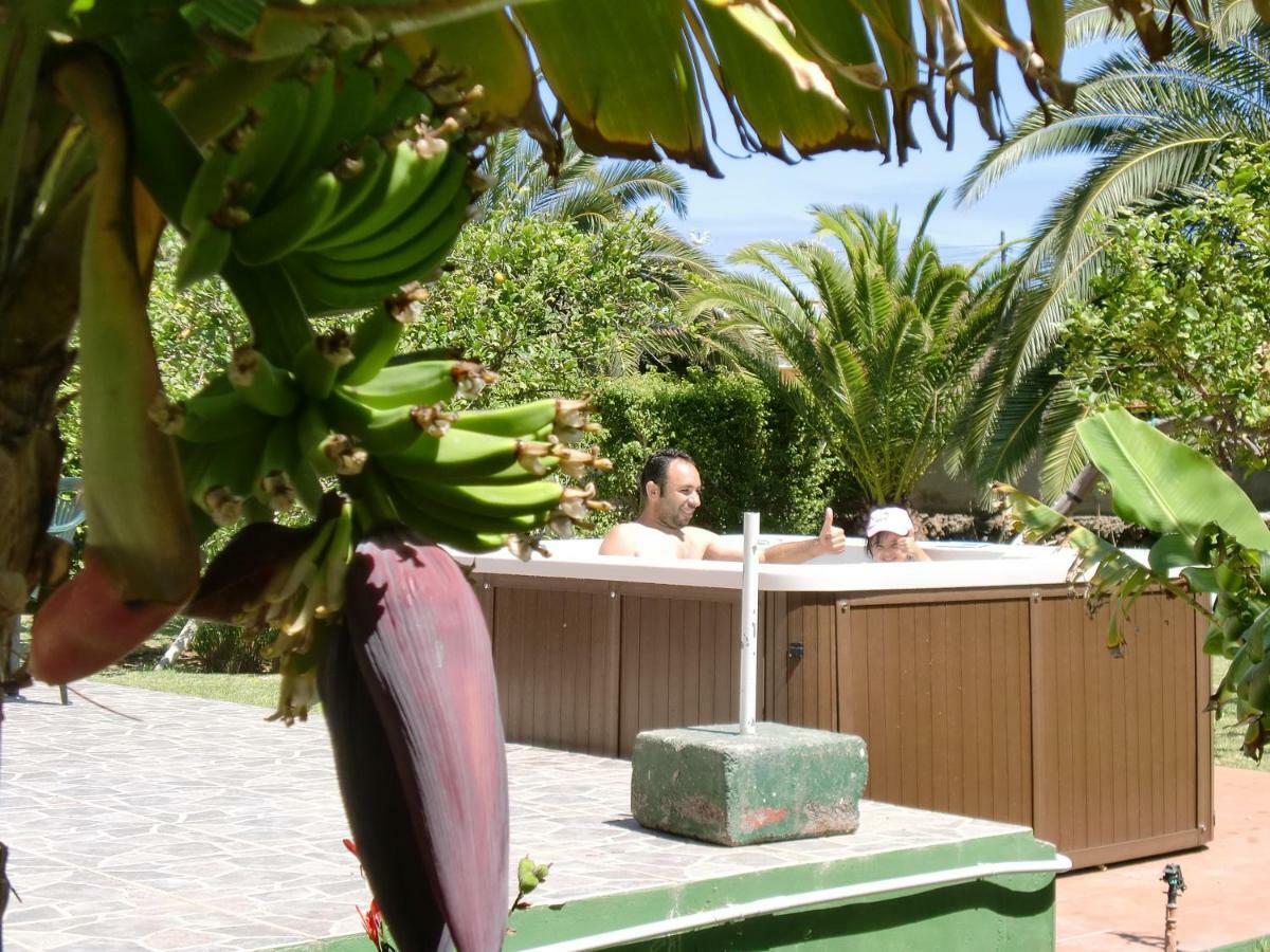 Finca La Gaviota - Los Limoneros Icod De Los Vinos Eksteriør billede
